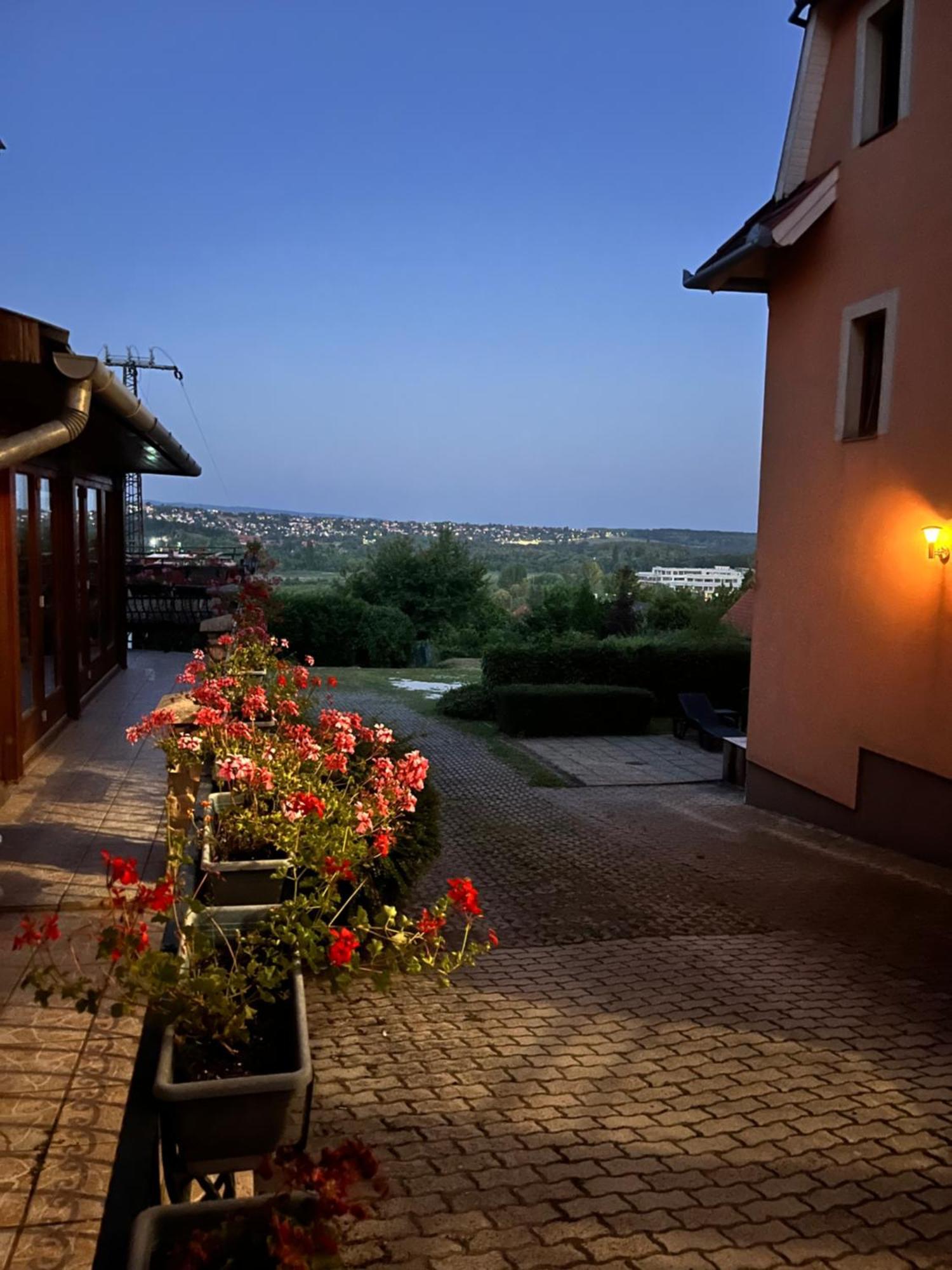 Fonix Wellness Panzio Heviz Bed & Breakfast Exterior photo